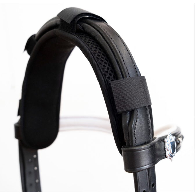 black poll cover with velcro straps on a bridle