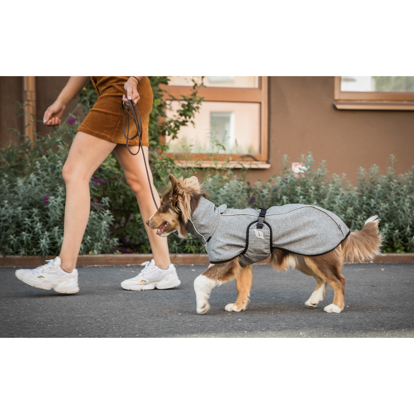 grey dog jacket with reflective detail worn by a dog