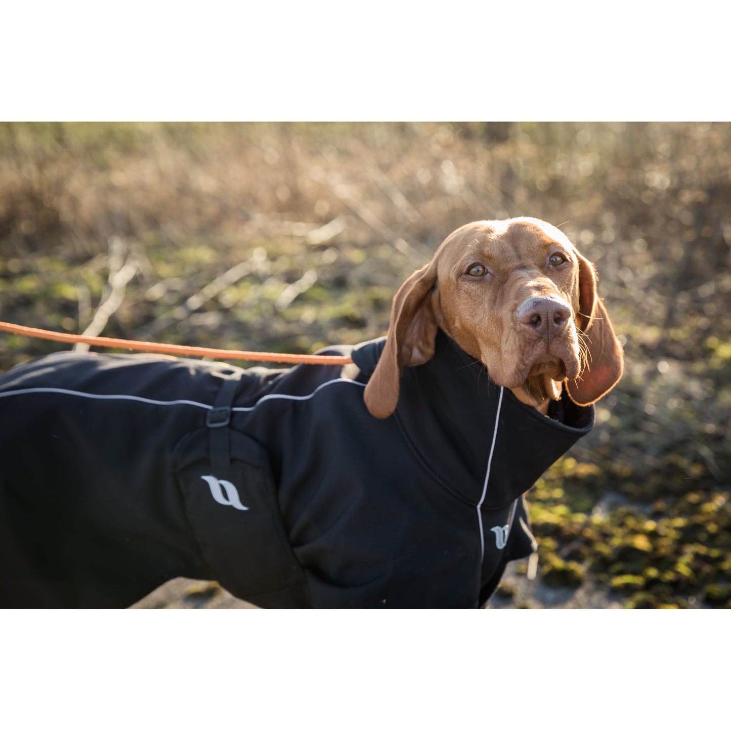 black dog jacket with reflective detail worn by a visla