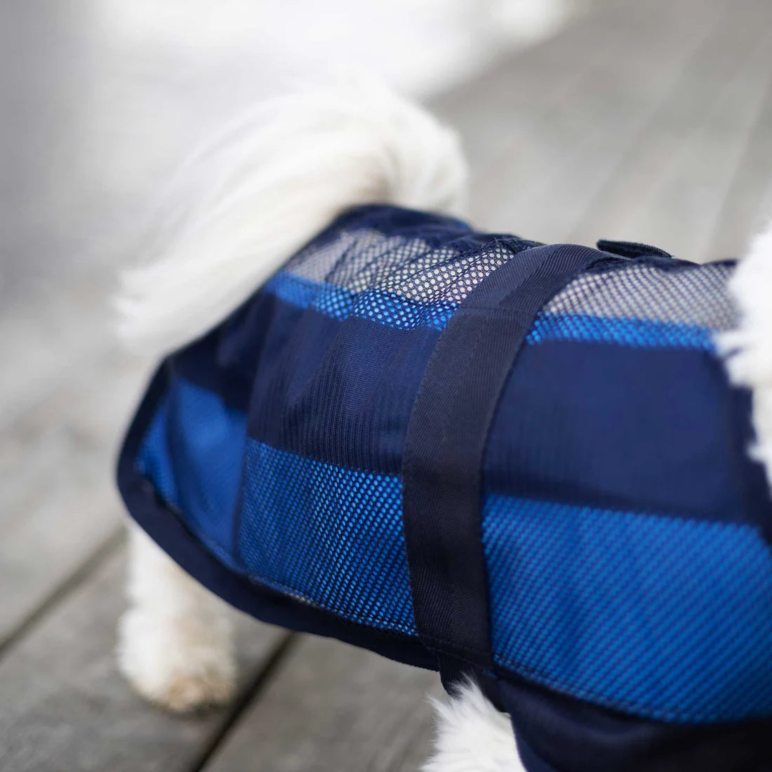 close up back detail of cool on track dog coat on white dog