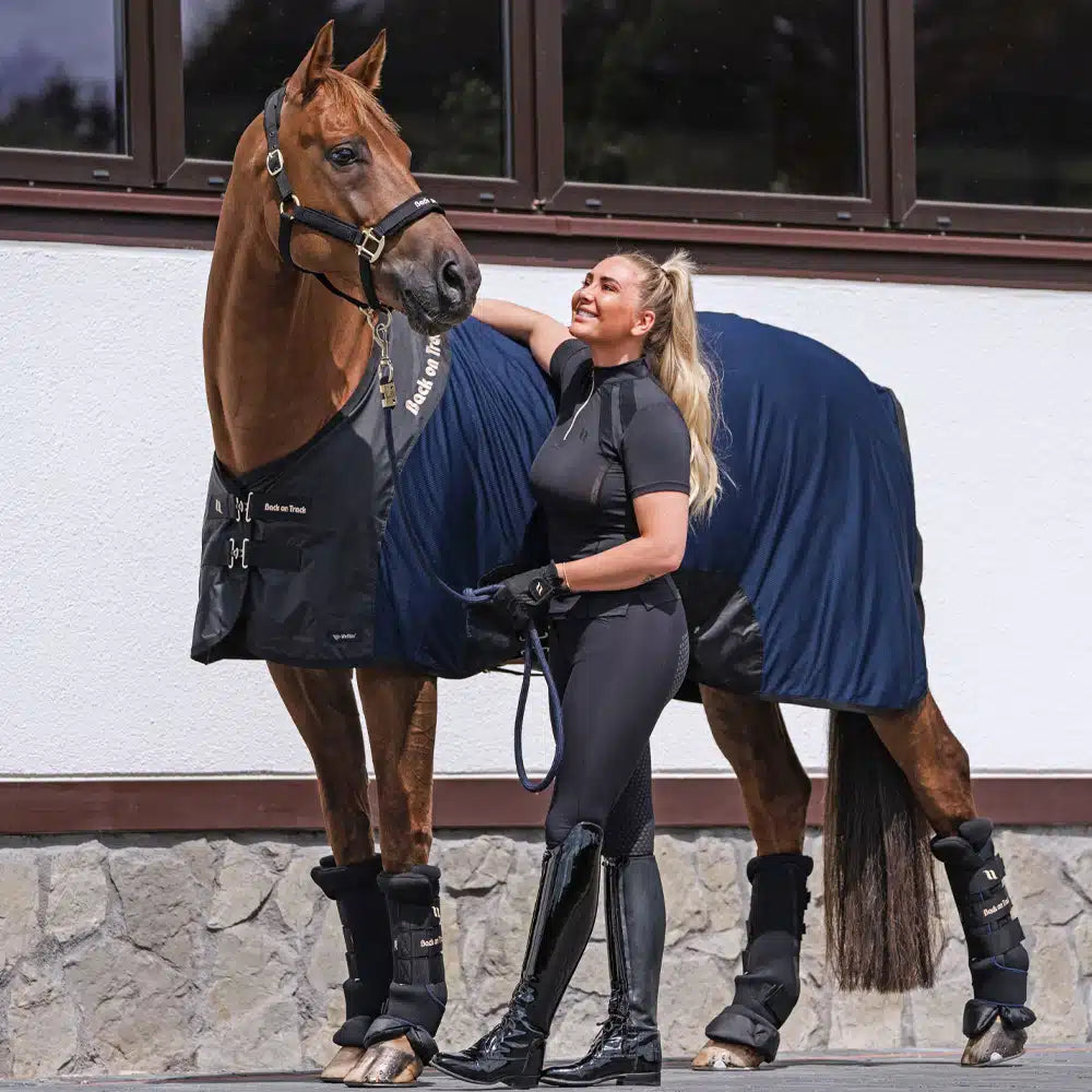 horse with a women. horse is wearing werano halter (black), royal quick wraps deluxe (black) and navy deluxe mesh rug
