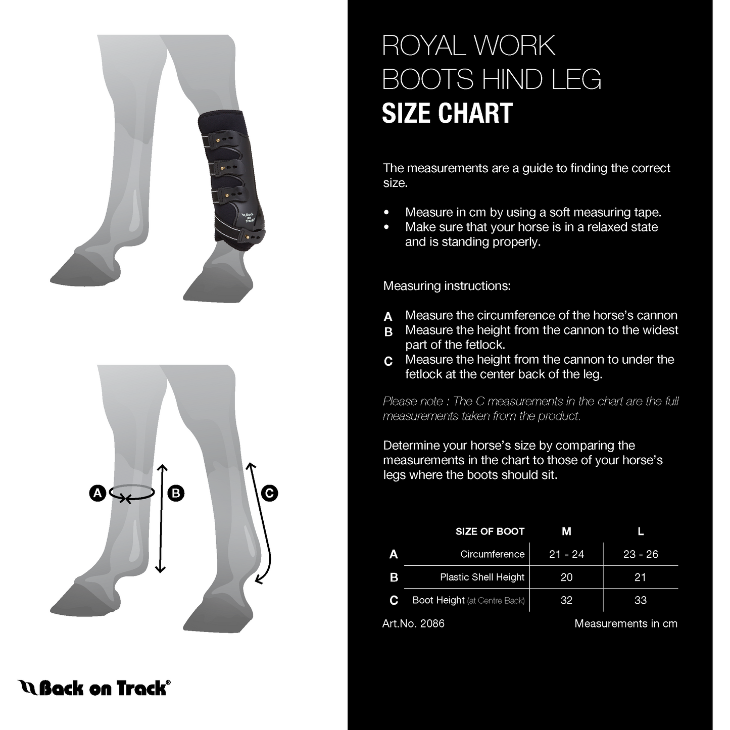 Protection Work Boots - Hind