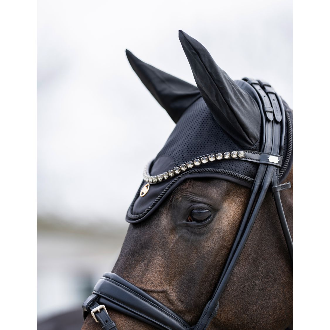 black horse bonnet with a matte gold BOT emblem and black piping - being worn by a bay horse