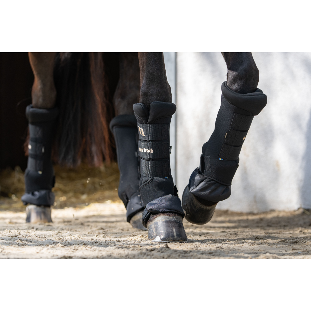 black royal quick wraps deluxe being worn by a bay horse, close up of legs