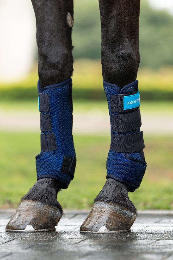 horse wearing a pair of cool on track wraps, front legs