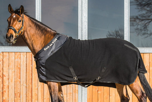 The Benefits of Fleece Blankets for Horses