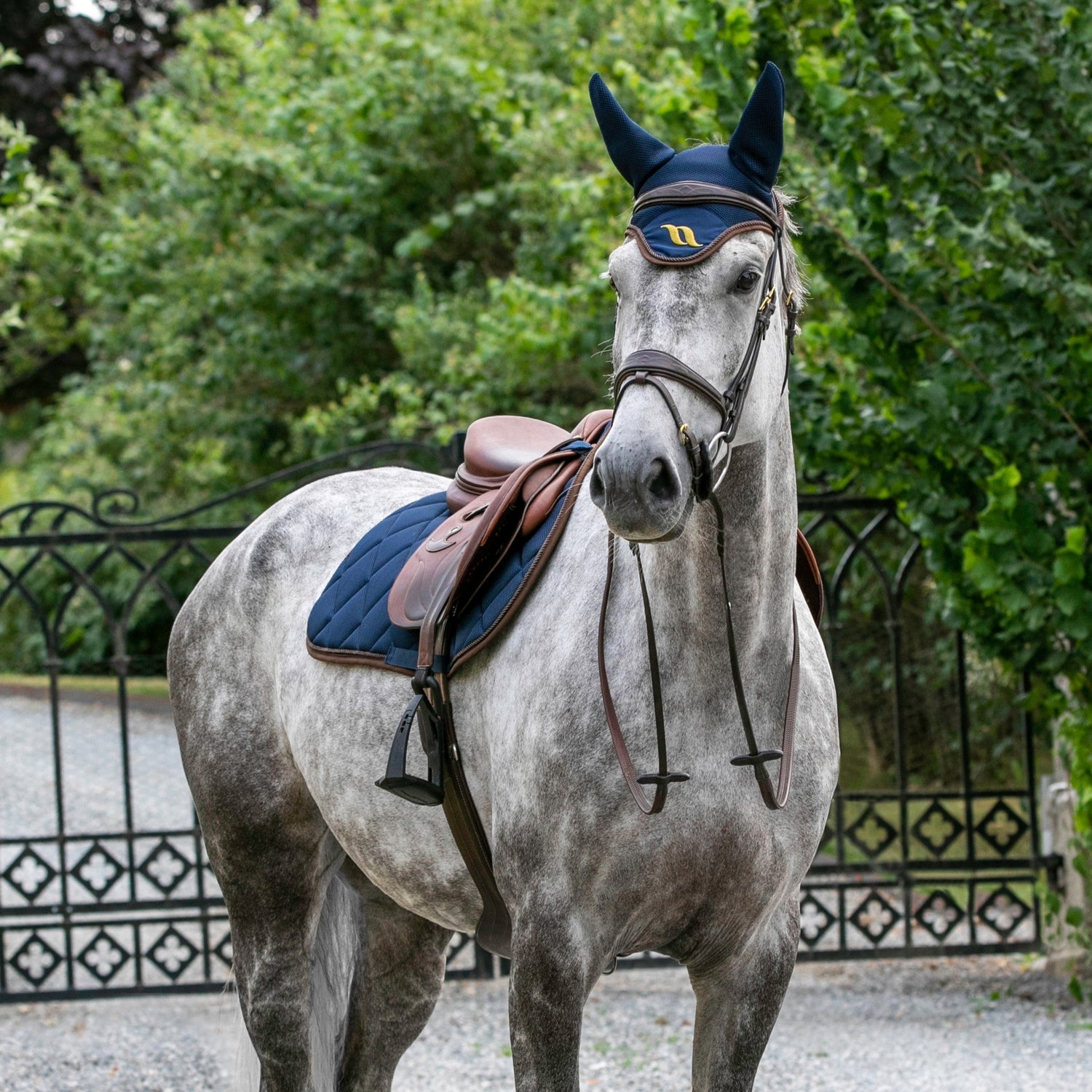 grey horse wearing blue bonnet and saddle pad