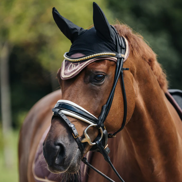 night collection poll bonnet on horse