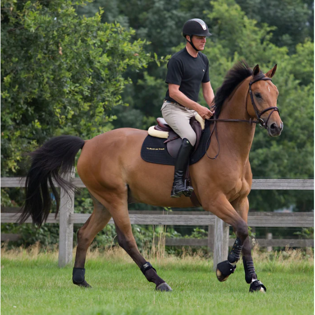 horse wearing fron work boots and fetlock boots, being riden