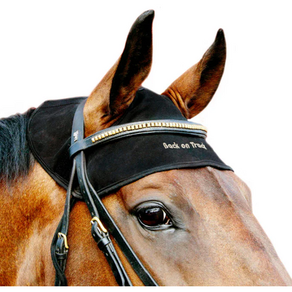 horse wearing poll cap