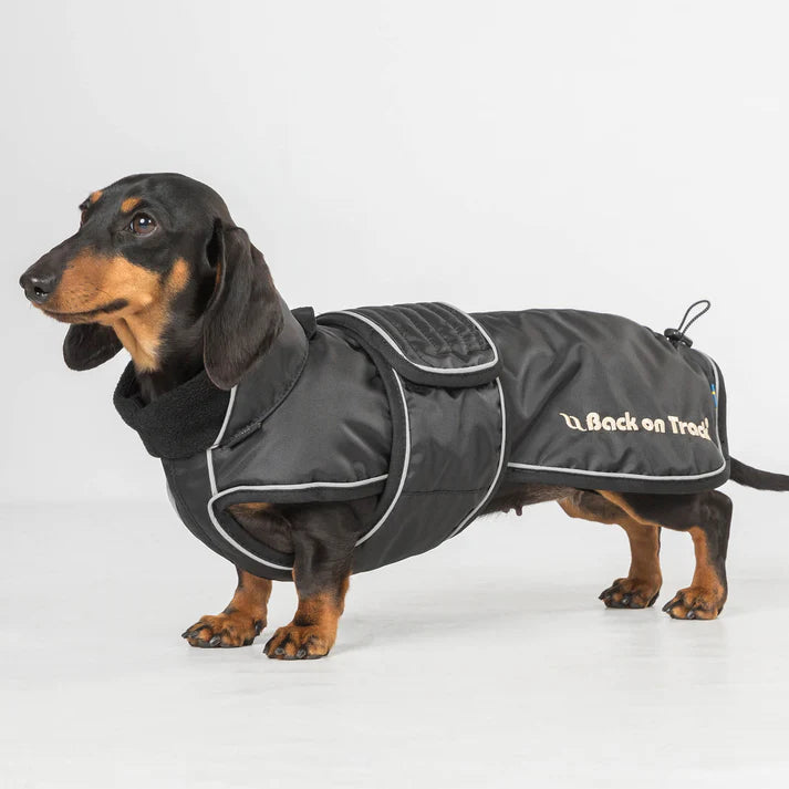 long dog black weatherproof jacket worn by dachshund