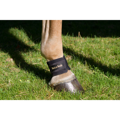 pastern wrap on horse