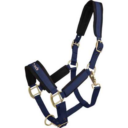 blue halter with bronze metal details