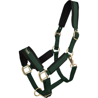 green halter with bronze metal details