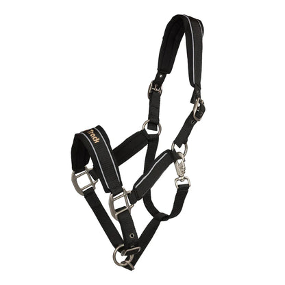 black halter with reflective detail