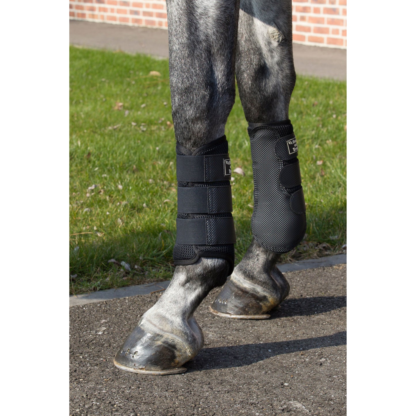 black brushing (splint) boots on a grey horse