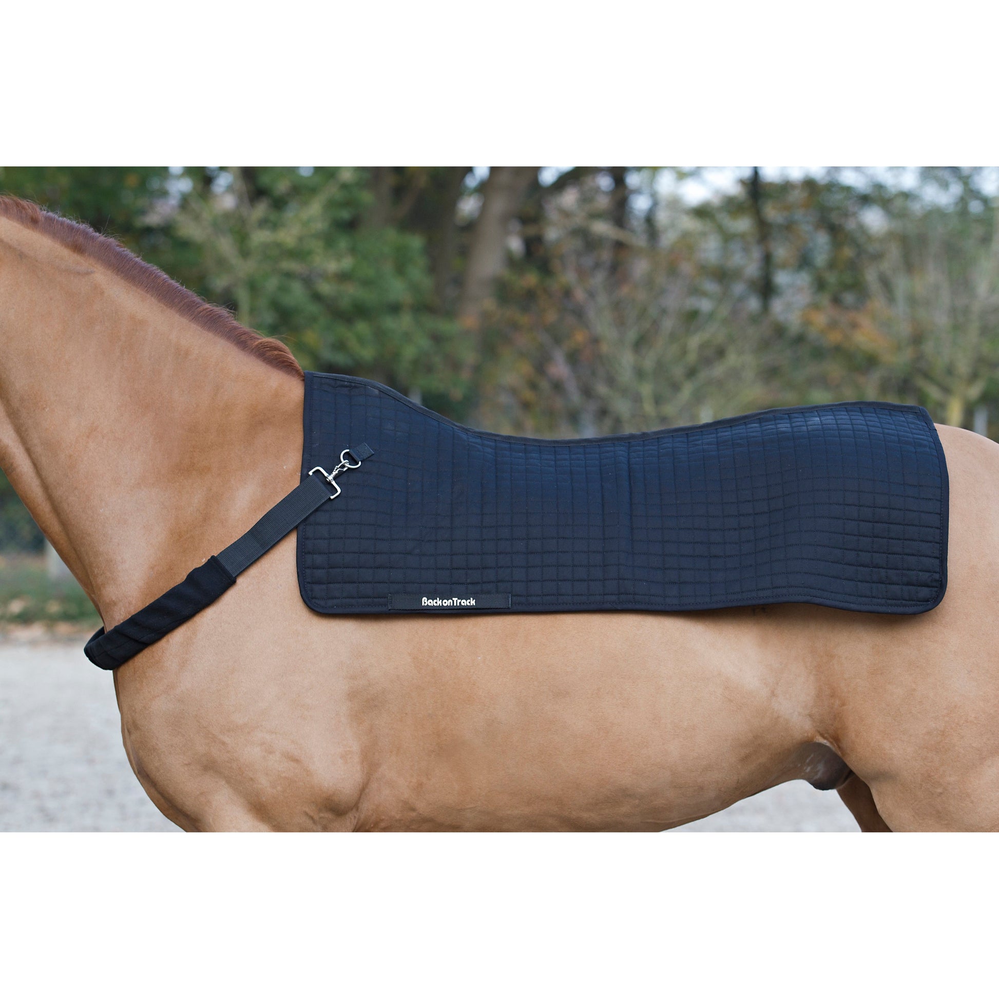 royal back warmer on a horse