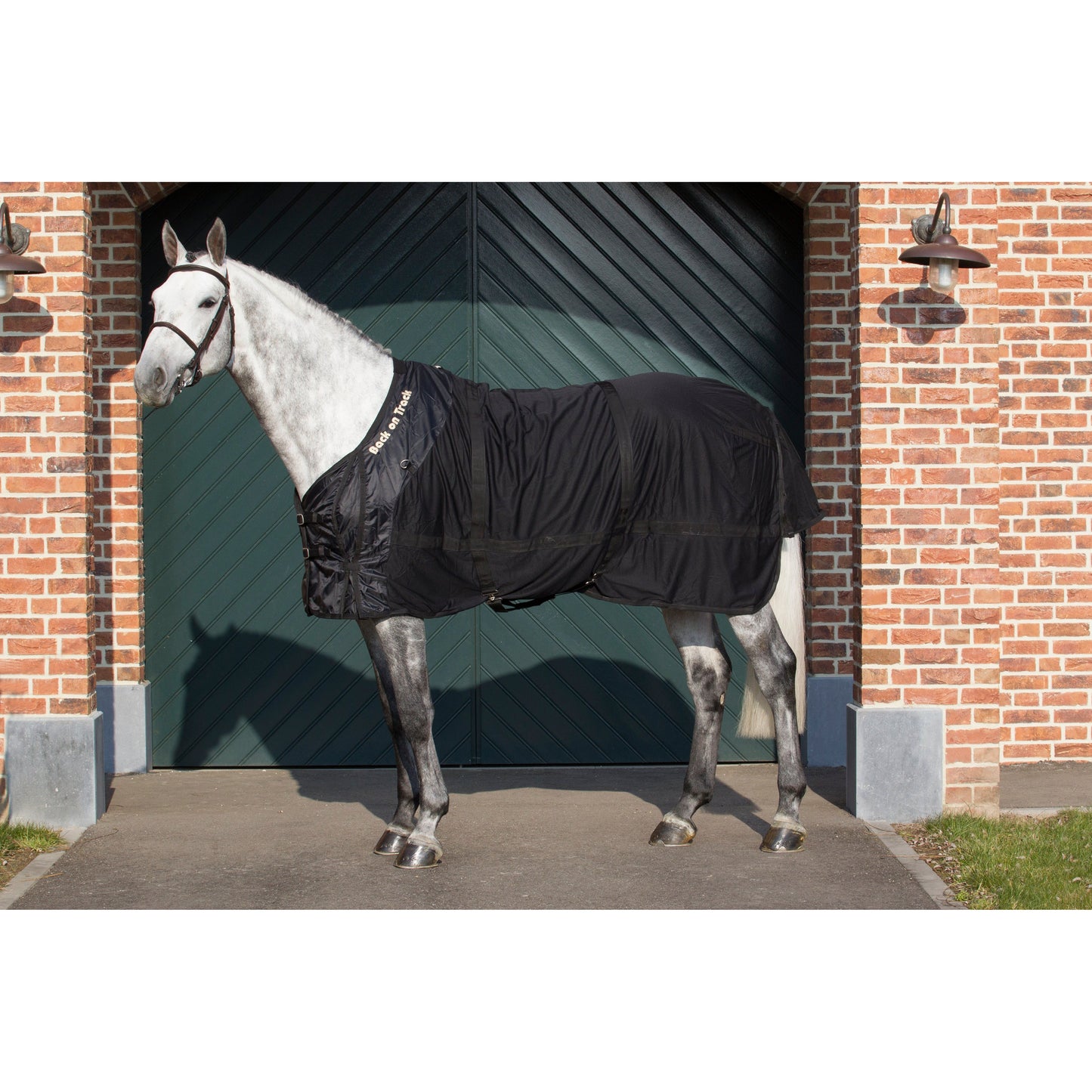 black mesh rug worn by grey horse