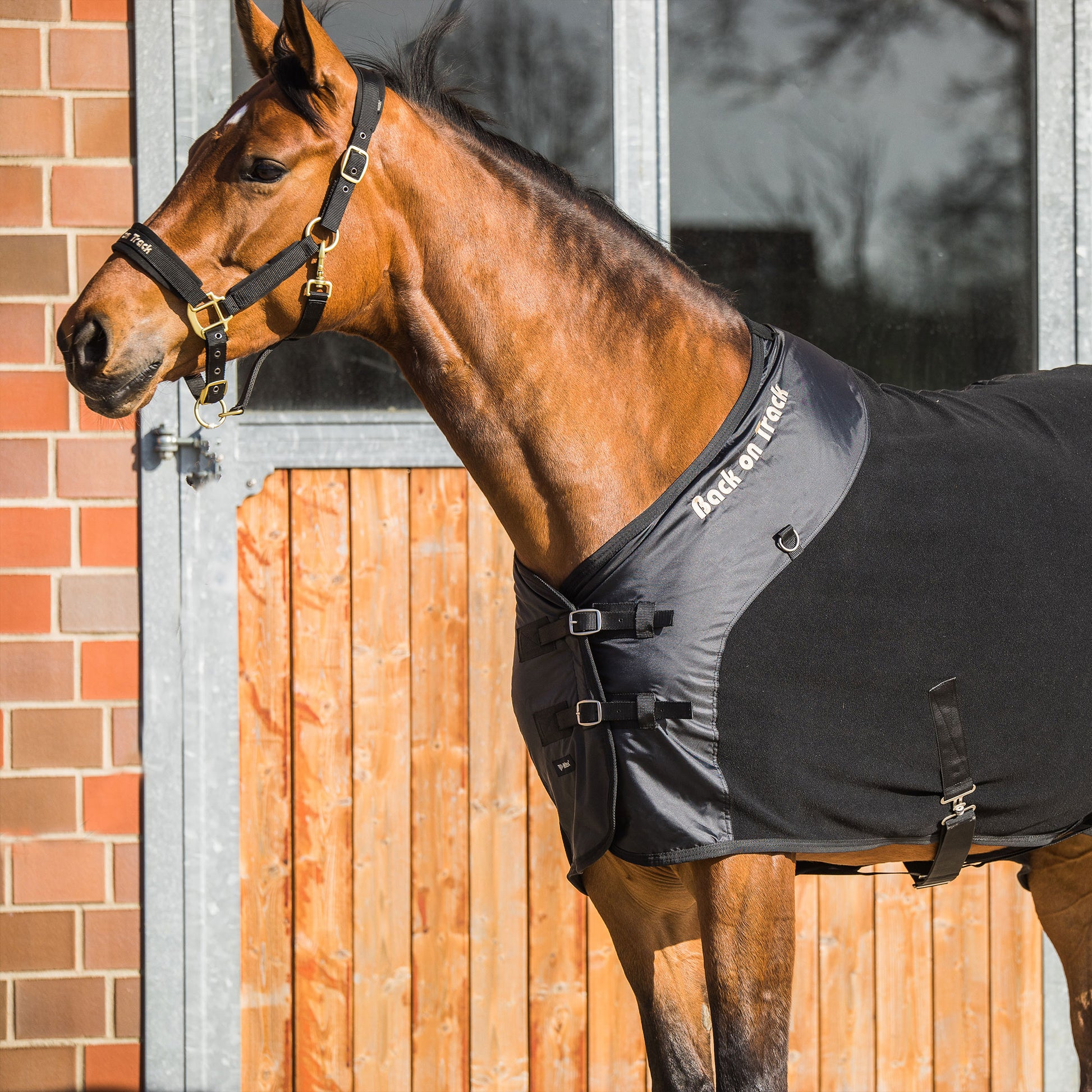 Supreme Fleece Rug – Back on Track Products Australia