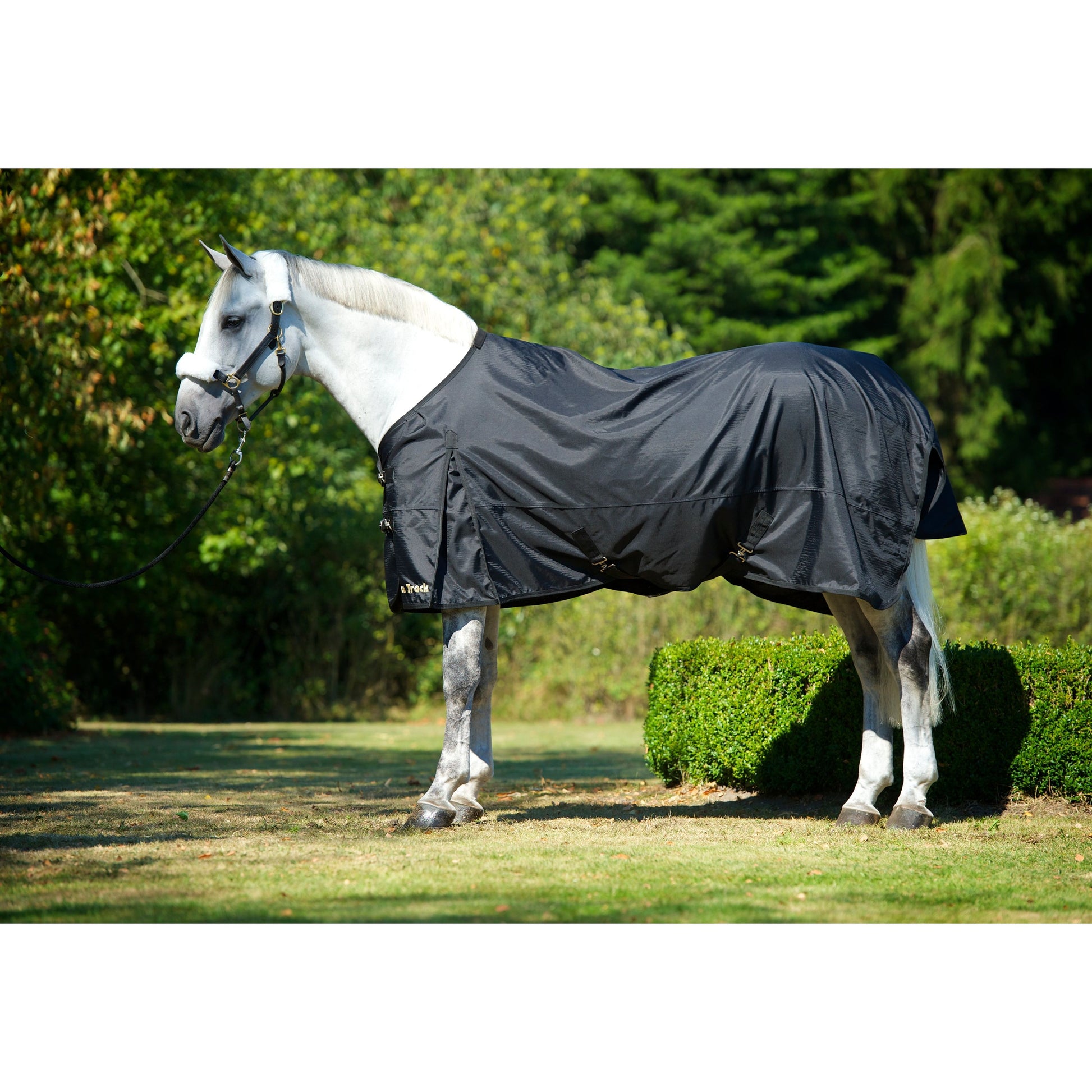 black turnout rug on grey horse, also wearing halter cover