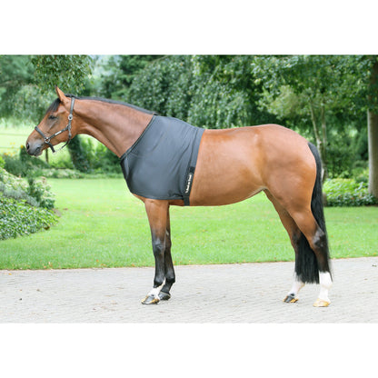 black shoulder guard with removable pads on a bay horse