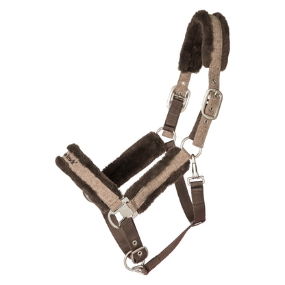 Brown halter with comfortable fluff over neck and nose band