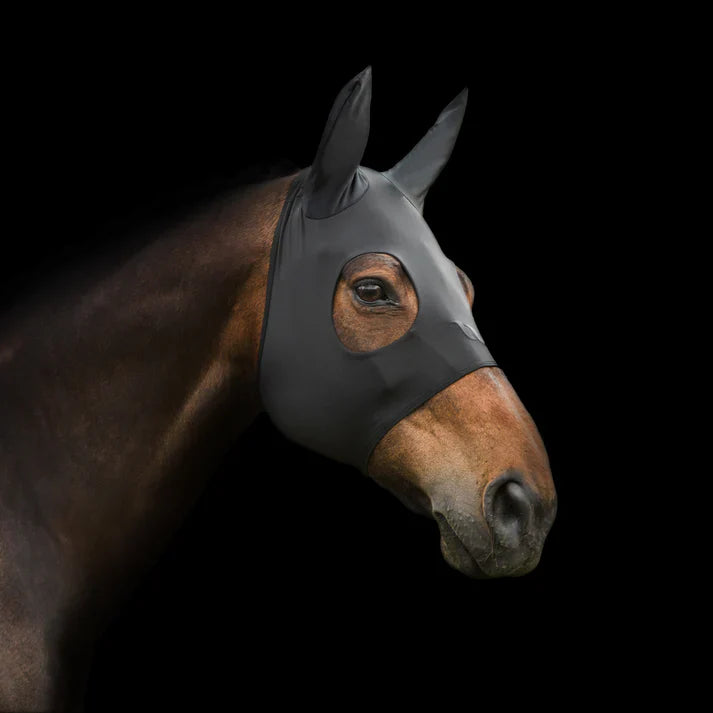 black soothing hood with ears worn by a  horse