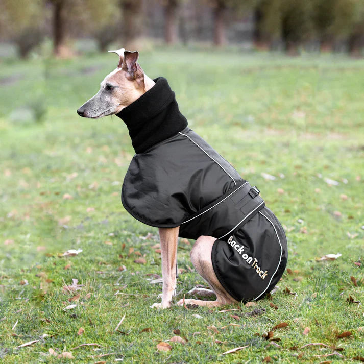 Whippet Coat Back on Track Products Australia