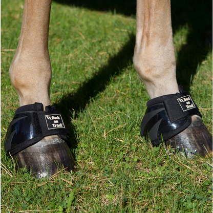 Black performance bell boots with BOT logo on horse