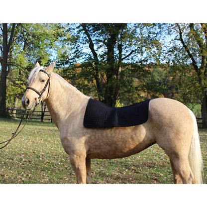 black western saddle pad on horse