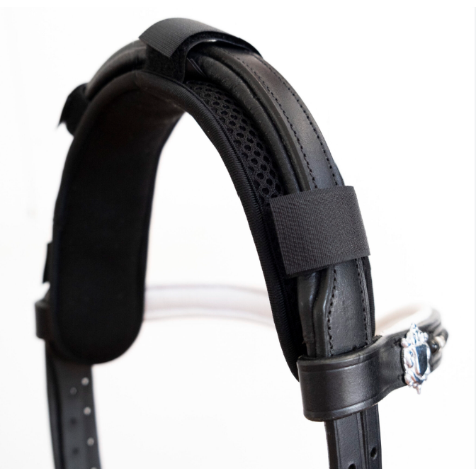 black poll cover with velcro straps  on a bridle