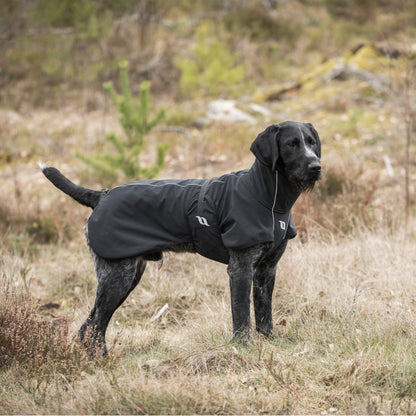 black fitted dog rug, reflective details and high collar on wirehaired pointer