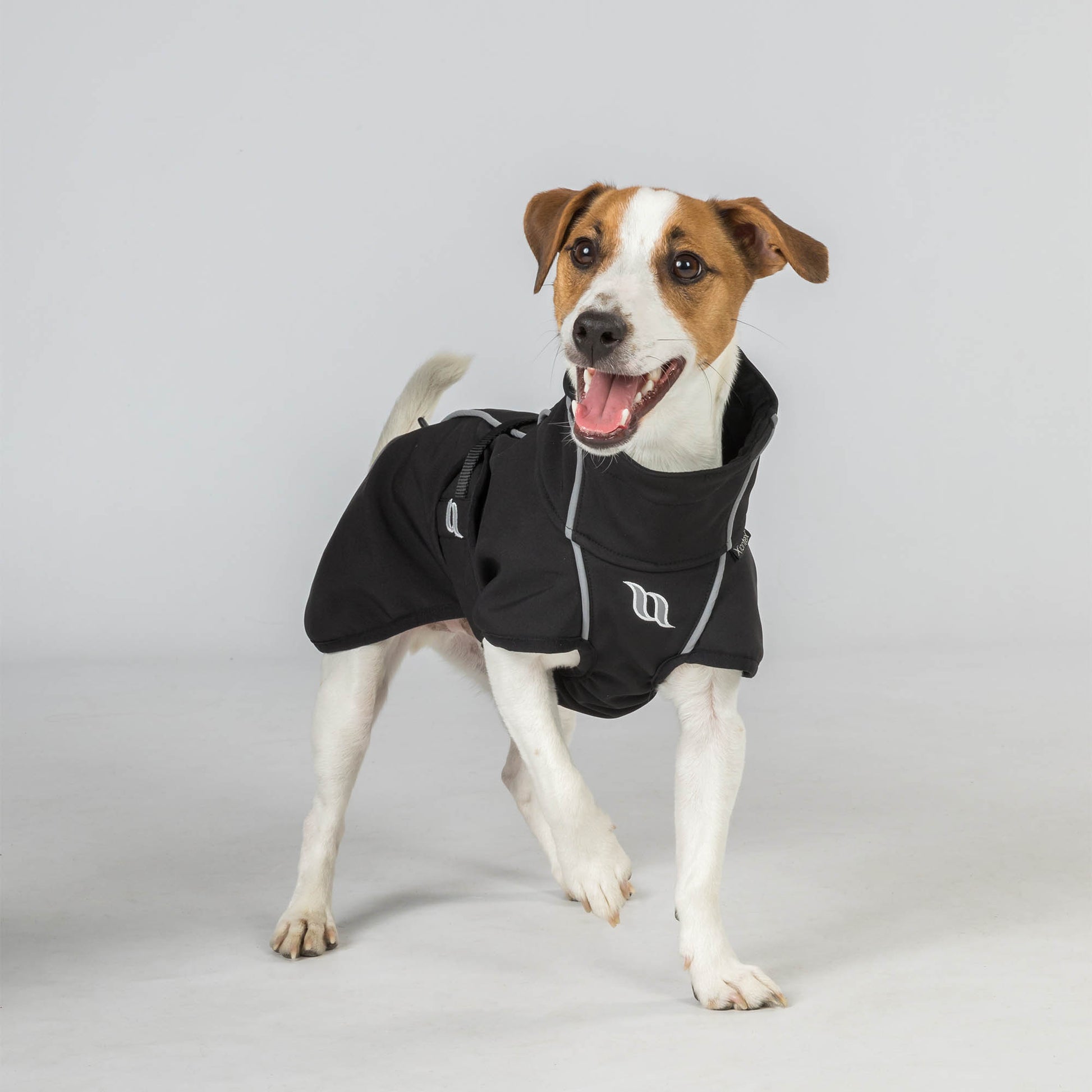 black fitted dog rug, reflective details and high collar worn by a happy JRT