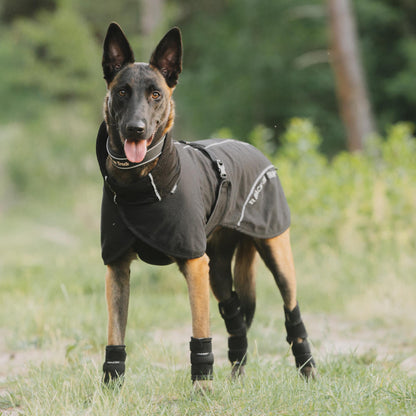 shepherd dog wearing a black bay mesh coat, milo and dixie braces and a charlie black dog collar