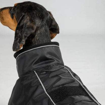 close up detail of dog wearing a buddy style dog coat