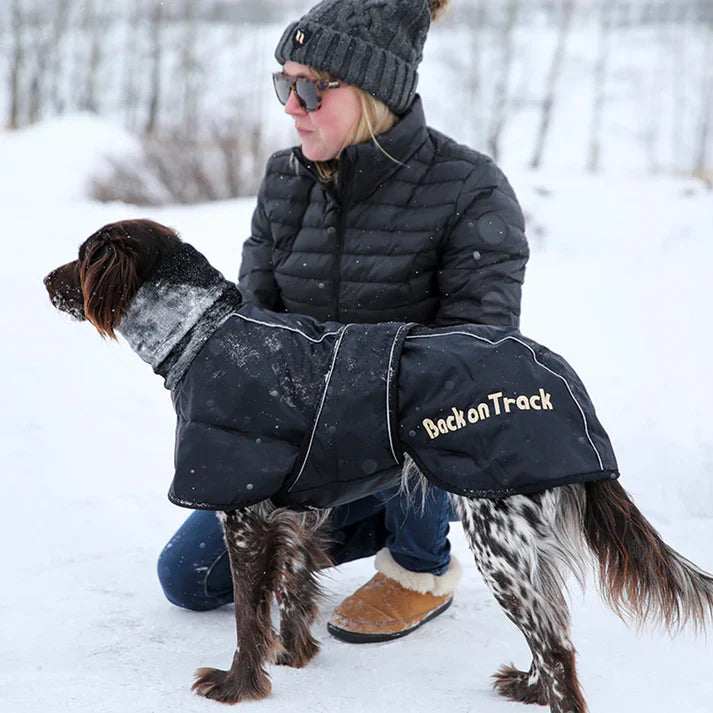 Whippet Coat