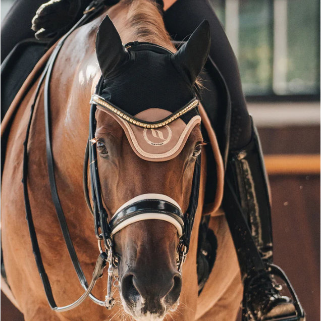 night collection poll bonnet on horse