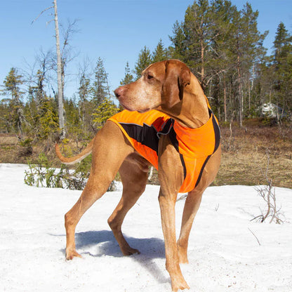 orange reflective dog jumper on a visla