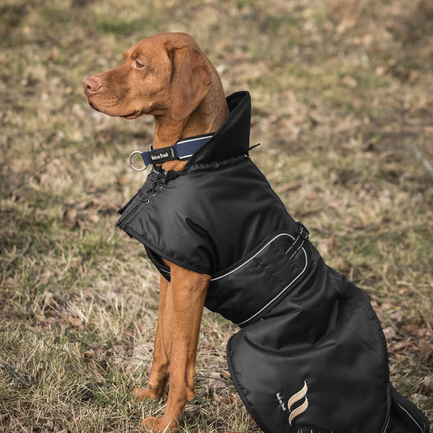 black dog jacket being worn by a visla