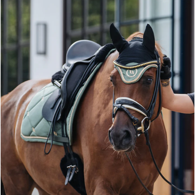 olive night collection poll bonnet and saddle pad worn by horse