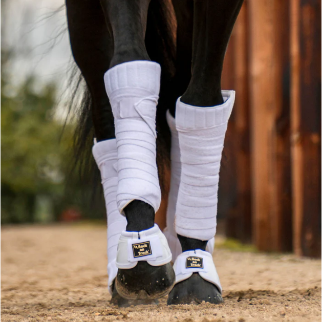 Performance Bell Boots Back on Track Products Australia