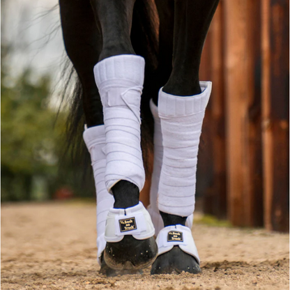 white performance bell boots with BOT logo and scandic pad on horse 