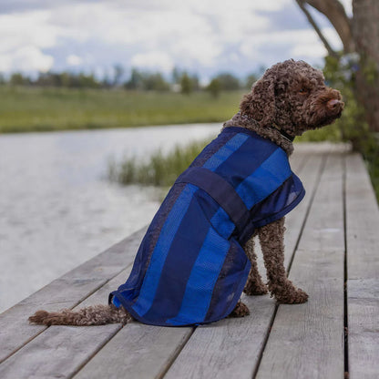 cool on track dog coat being worn by dog sitting