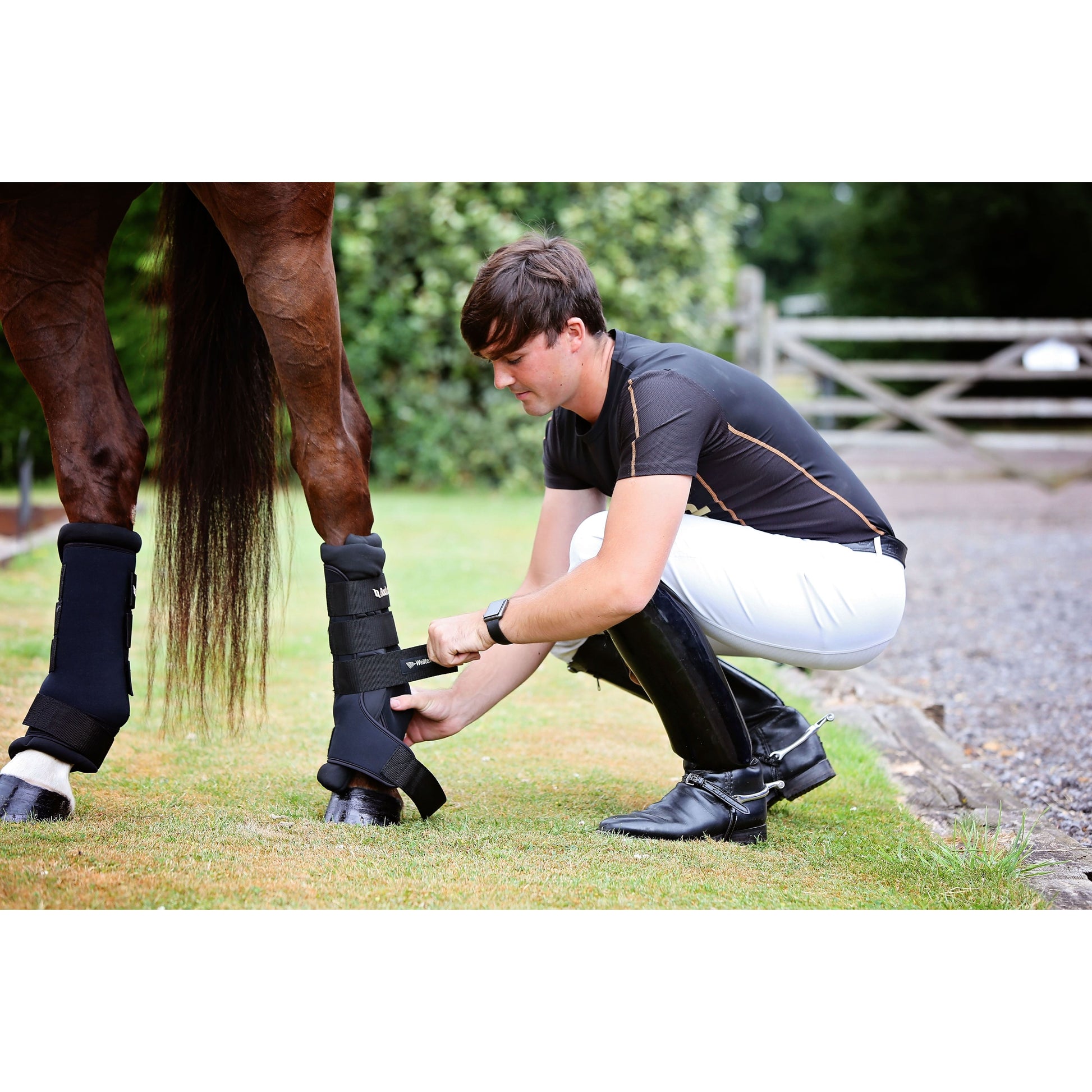 male putting black quick wrap on the hind legs of a horse