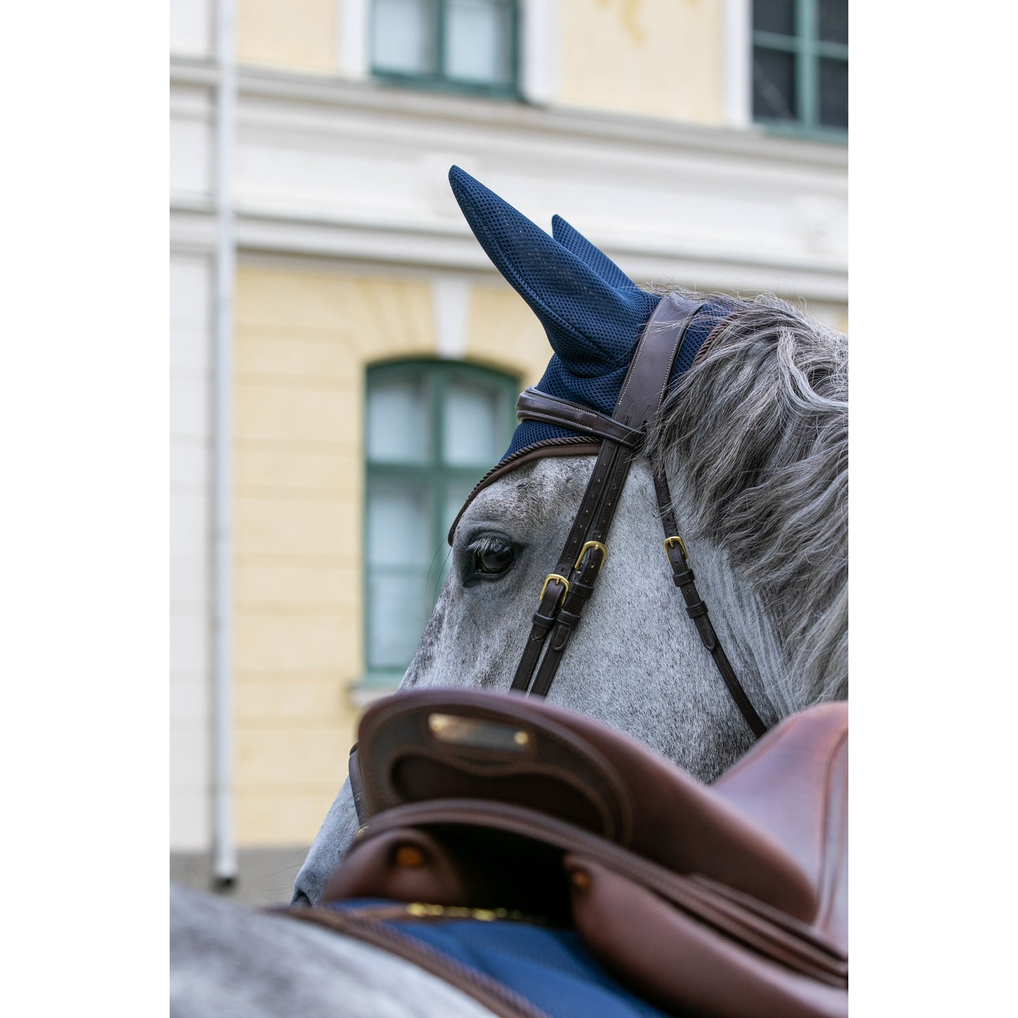 Navy saddle pad and bonnet on grey horse, mesh, airflow, breathable