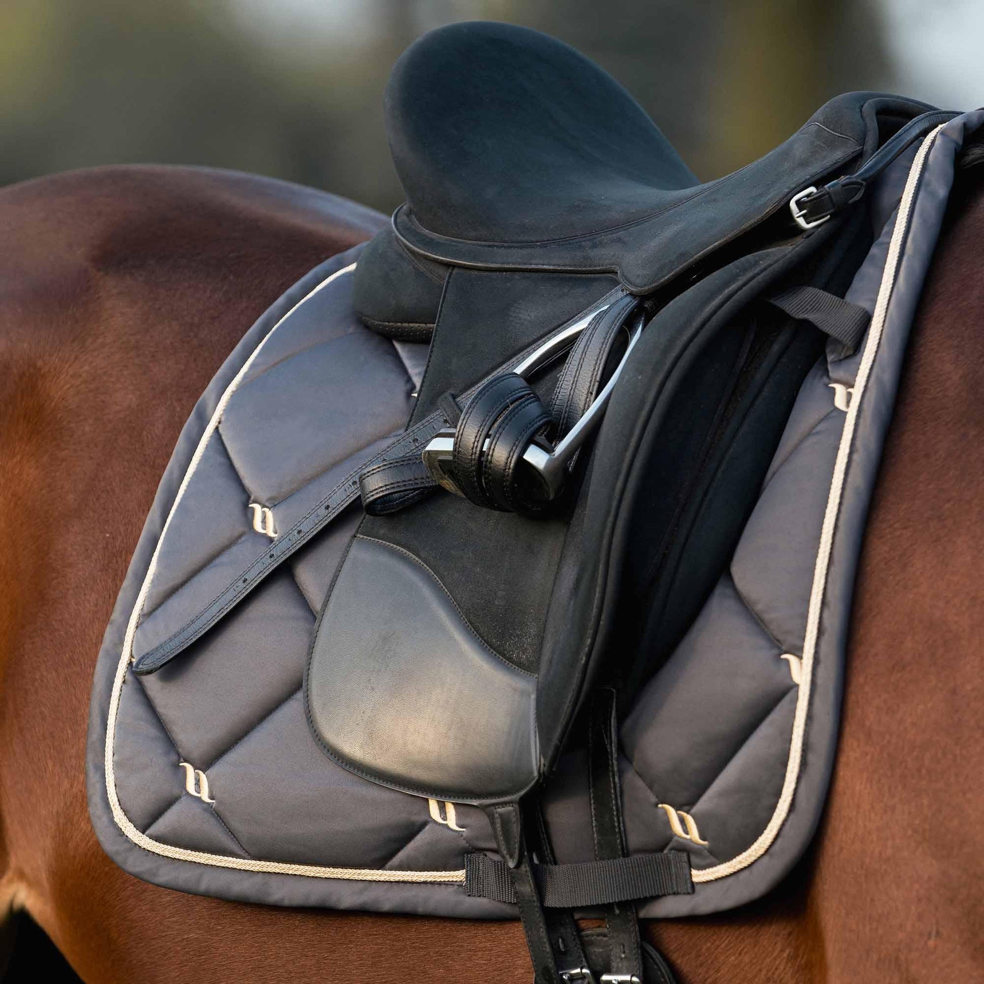 graphite nights collection saddle pad on a horse under saddle