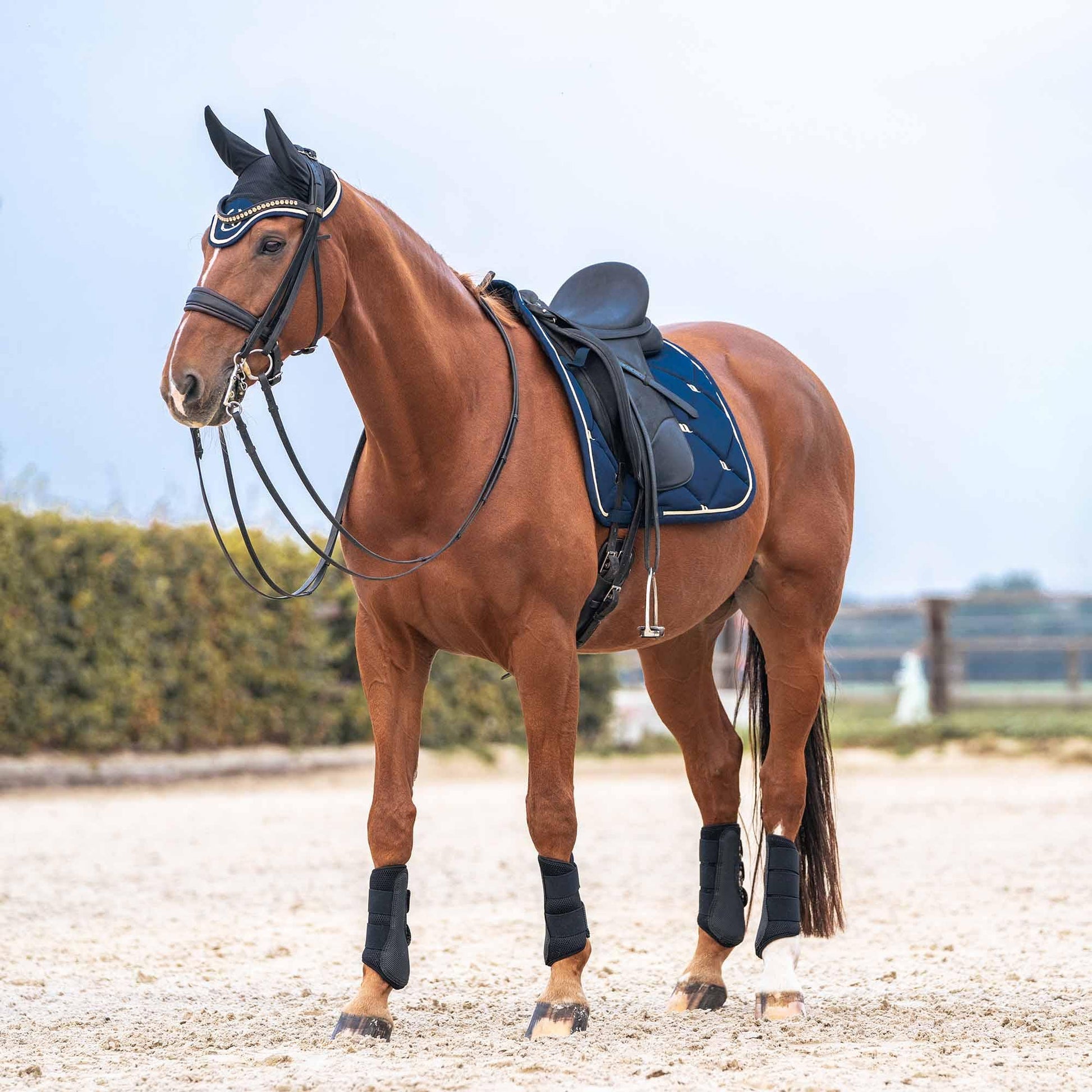 nights collection saddle pad and poll bonnet in noble blue worn by horse