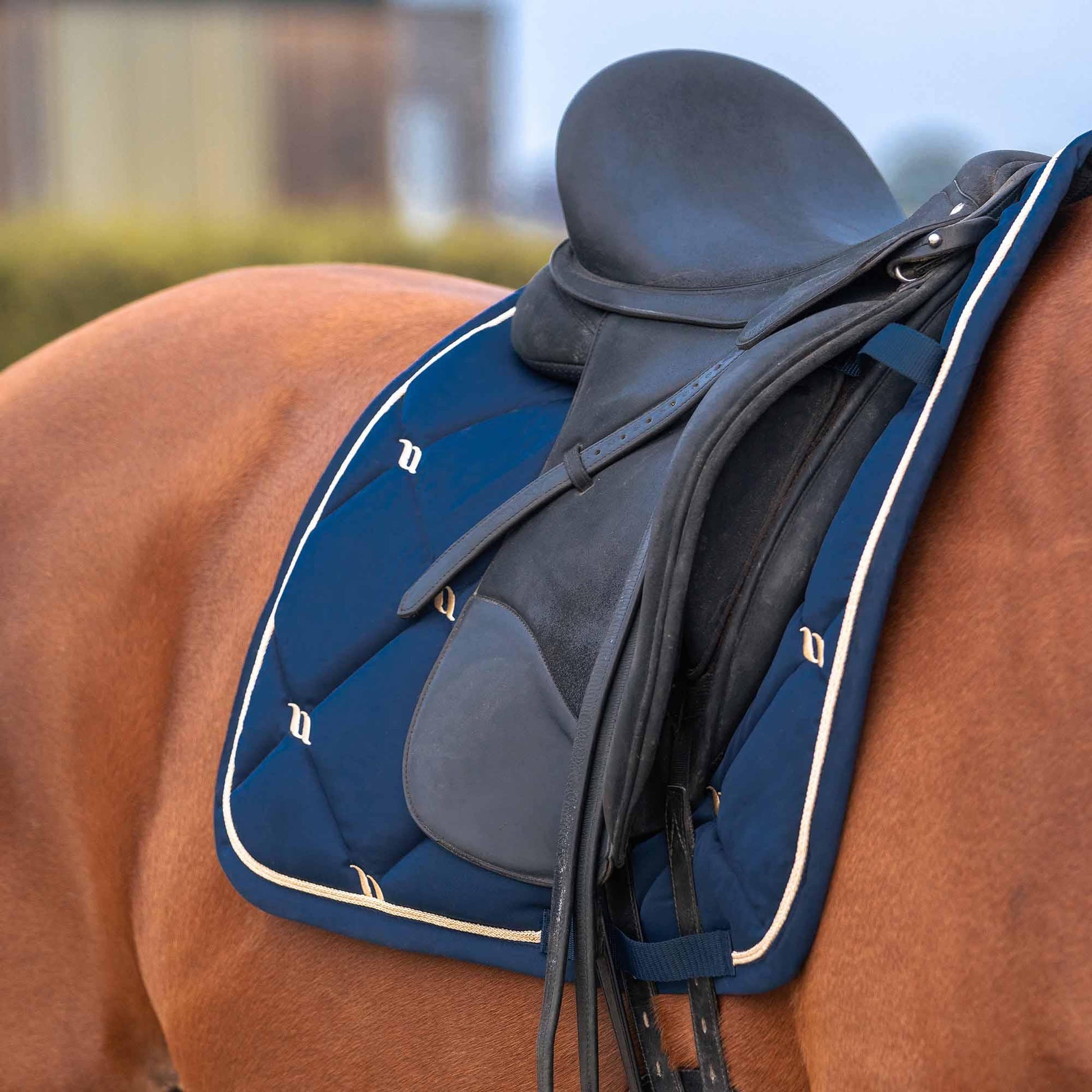 noble blue nights collection saddle pad on horse under saddle