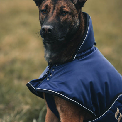 Navy dog jacket worn by shepherd 