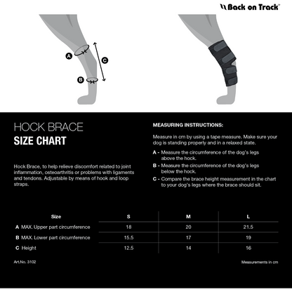 size guide for hock brace